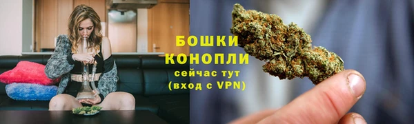 PSILOCYBIN Бугульма